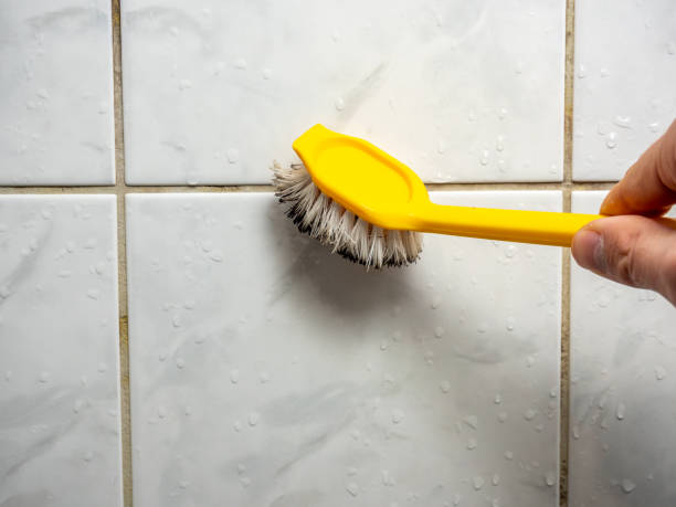 Best Residential Mold Remediation in Marion, NC
