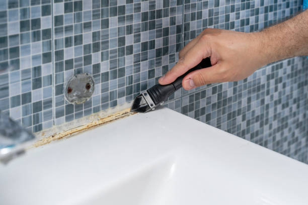 Best Basement Mold Remediation in Marion, NC
