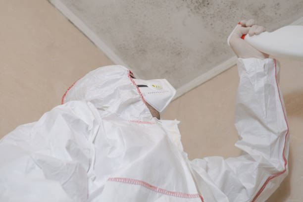 Best Health and Safety Mold Remediation in Marion, NC
